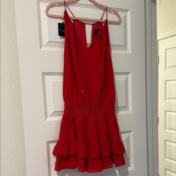 Chic Red Ruffle Mini Dress - Picture 7 of 8